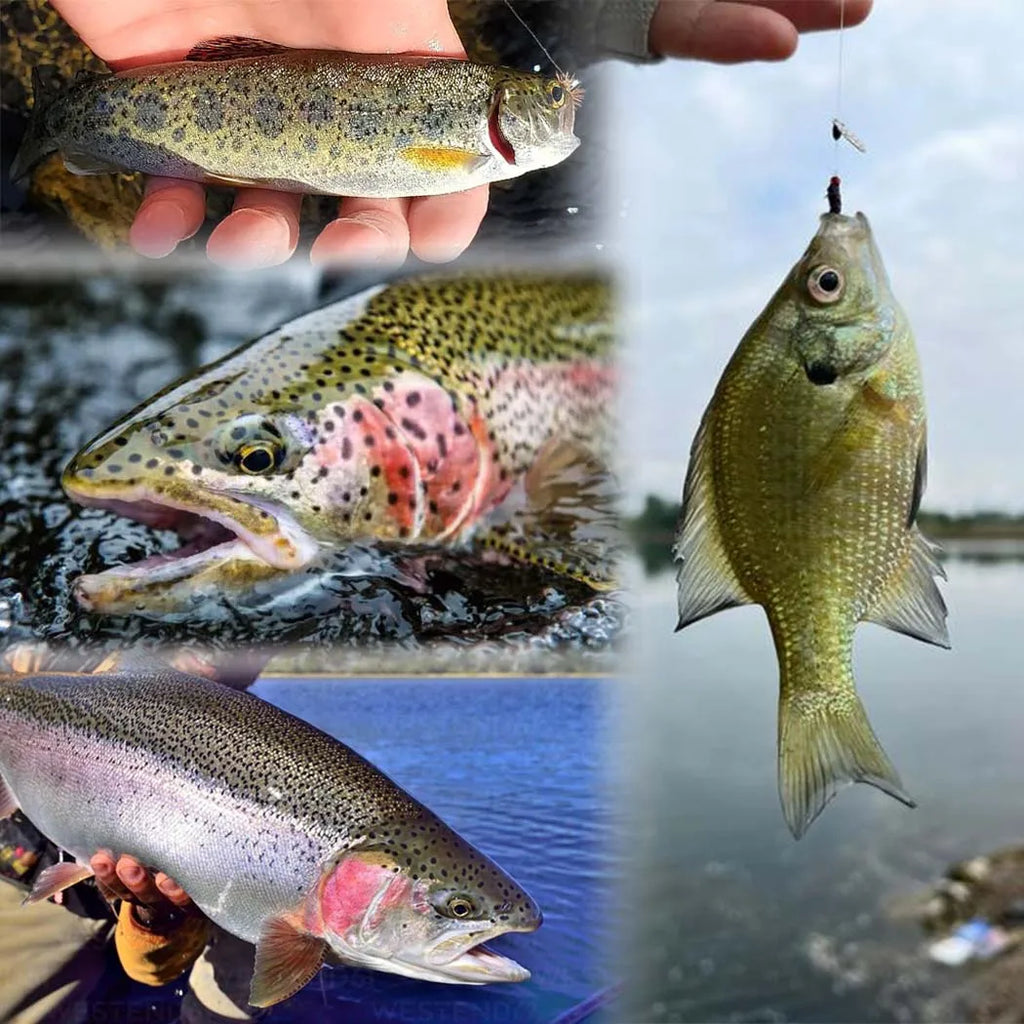 114pcs with Dry/Wet Flies Fly Fishing Flies Kit Fly Assortment Trout Bass Fishing with Fly Box